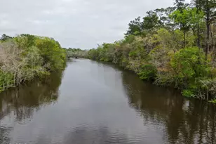 3640 Lucianne Dr, Vernon, FL 32462 - Photo 108