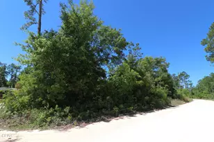 Lot 16 Seminole Ln, Marianna, FL 32448 - Photo 1