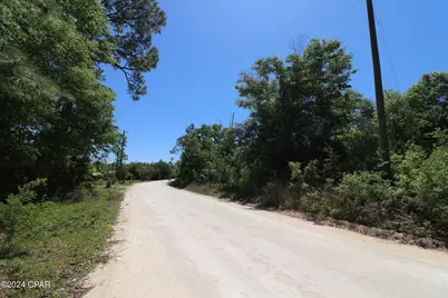 Lot 16 Seminole Lane, Marianna, FL 32448 - Photo 4