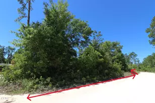 Lot 16 Seminole Ln, Marianna, FL 32448 - Photo 1