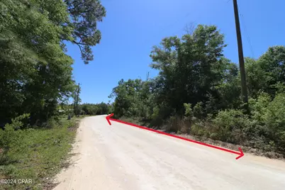 Lot 16 Seminole Lane, Marianna, FL 32448 - Photo 6