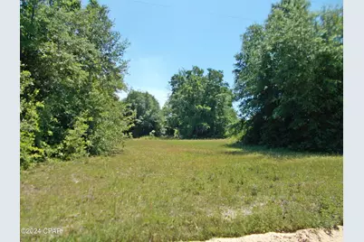 1 Ac Melon Lane, Grand Ridge, FL 32442 - Photo 4