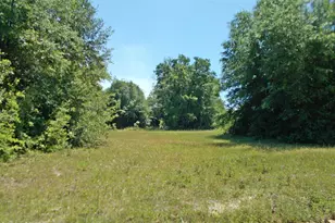 1 Ac Melon Ln, Grand Ridge, FL 32442 - Photo 4