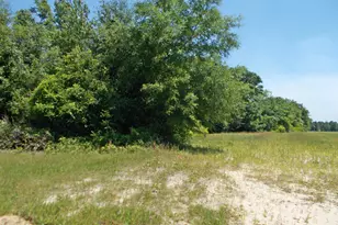 1 Ac Melon Ln, Grand Ridge, FL 32442 - Photo 14