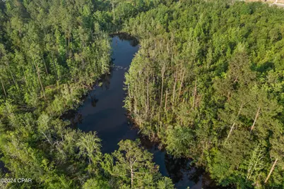 Xxx Kirkland Road #Lot 3, Chipley, FL 32428 - Photo 8