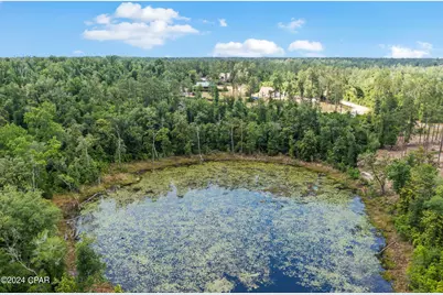 0000 Vancouver Drive, Alford, FL 32420 - Photo 12