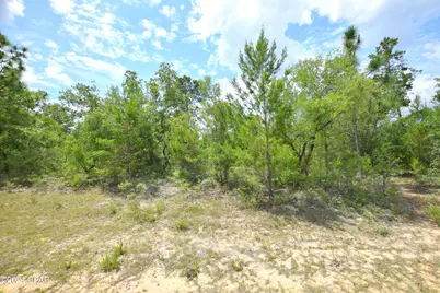 Tbd Lot 37 Bluestone Drive, Chipley, FL 32428 - Photo 2