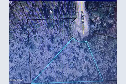 Lot 21 Clark, Alford, FL 32420 - Photo 1