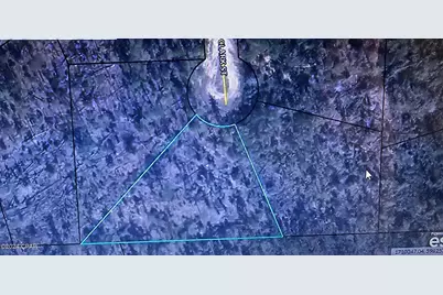 Lot 21 Clark, Alford, FL 32420 - Photo 2