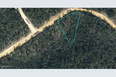 00000 Laurel Drive, Alford, FL 32420 - Photo 2