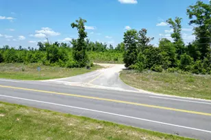 Lot 8 NW Kb Jones Rd, Clarksville, FL 32430 - Photo 1