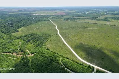 Lot 8 NW Kb Jones Rd, Clarksville, FL 32430 - Photo 4
