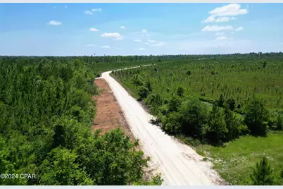 Lot 18 NW Kb Jones Road, Clarksville, FL 32430 - Photo 2