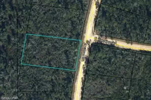 Lot 31 Los Padres Ave, Alford, FL 32420 - Photo 1