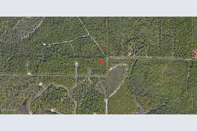 11831 Hauser Road, Panama City, FL 32404 - Photo 2