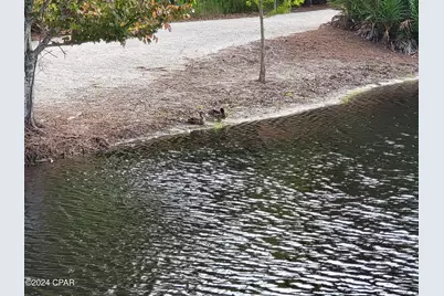 3323 Green Turtle Lane, Panama City, FL 32408 - Photo 10