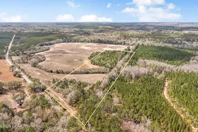 Lot 1 Bradley Road, Westville, FL 32464 - Photo 2