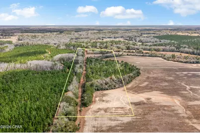 Lot 1 Bradley Road, Westville, FL 32464 - Photo 4