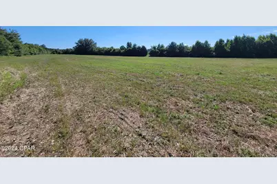 Lot 1 Bradley Road, Westville, FL 32464 - Photo 6