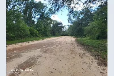 00 Persimmons Lane, Marianna, FL 32448 - Photo 4