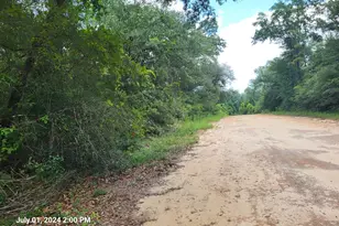 00 Persimmons Ln, Marianna, FL 32448 - Photo 1