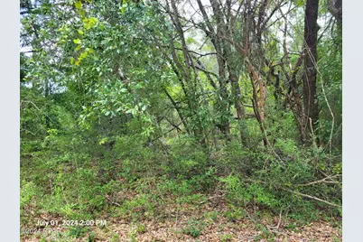 00 Persimmons Lane, Marianna, FL 32448 - Photo 2
