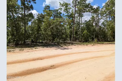 0 Fredrica Drive, Alford, FL 32420 - Photo 6