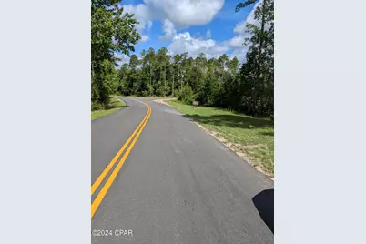 0 Fredrica Drive, Alford, FL 32420 - Photo 8