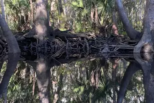 199 N Duck Ave, Wewahitchka, FL 32465 - Photo 48