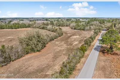 Lot 2 Bradley Road, Westville, FL 32464 - Photo 4