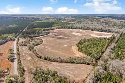 Lot 2 Bradley Road, Westville, FL 32464 - Photo 6