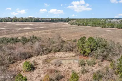 Lot 3 Bradley Road, Westville, FL 32464 - Photo 2