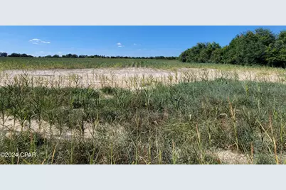 Lot 3 Bradley Road, Westville, FL 32464 - Photo 6