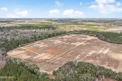 Lot 4 Bradley Road, Westville, FL 32464 - Photo 4