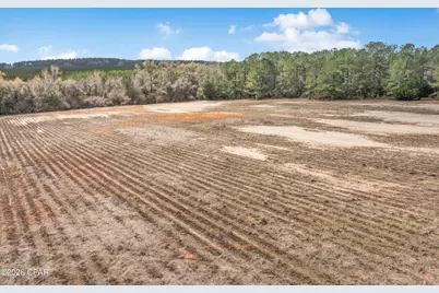 Lot 4 Bradley Road, Westville, FL 32464 - Photo 2