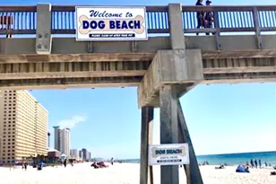 209 Moonlight Bay Dr, Panama City Beach, FL 32407 - Photo 96