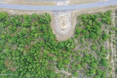 Lot 2 Brewton Drive, Chipley, FL 32428 - Photo 2