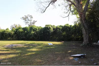 15953 Chipola Street, Altha, FL 32421 - Photo 26
