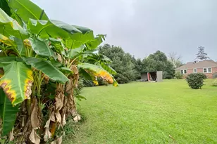 2936 Russ St, Marianna, FL 32446 - Photo 56