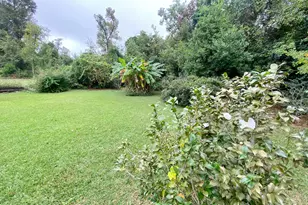 2936 Russ St, Marianna, FL 32446 - Photo 54