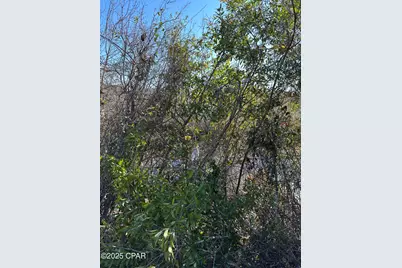 31 Indian Bluff Drive, Youngstown, FL 32466 - Photo 12