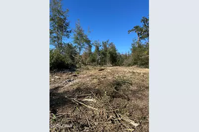 31 Indian Bluff Drive, Youngstown, FL 32466 - Photo 10