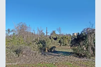 0 McPherson Street, Marianna, FL 32448 - Photo 6