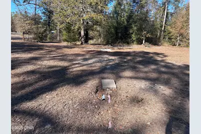 12221 Glenwood Road, Fountain, FL 32438 - Photo 2