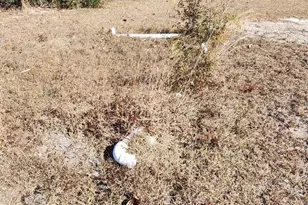 6073 Devorak Dr, Marianna, FL 32446 - Photo 60