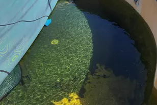 6073 Devorak Dr, Marianna, FL 32446 - Photo 32