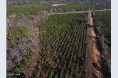 Tbd Lot 3 Peanut Road, Cottondale, FL 32431 - Photo 1