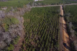 Tbd Lot 3 Peanut Rd, Cottondale, FL 32431 - Photo 1