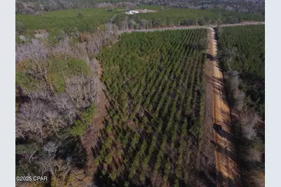 Tbd Lot 3 Peanut Road, Cottondale, FL 32431 - Photo 22