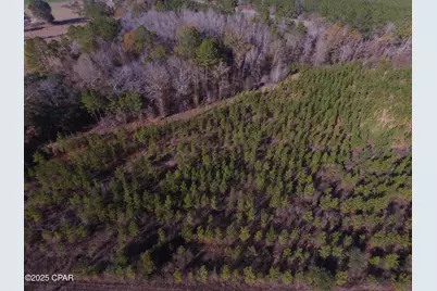 Tbd Lot 3 Peanut Road, Cottondale, FL 32431 - Photo 12